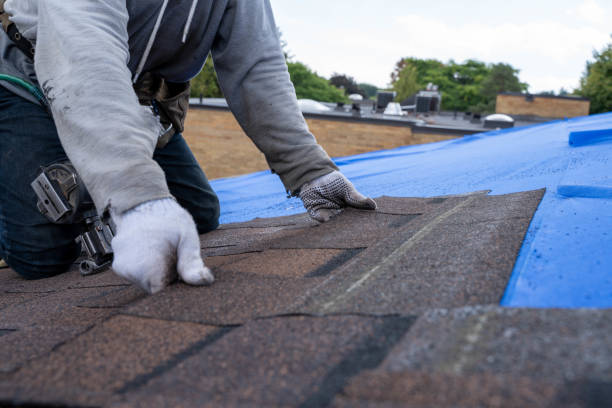 Best Storm Damage Roof Repair  in St Albans, WV